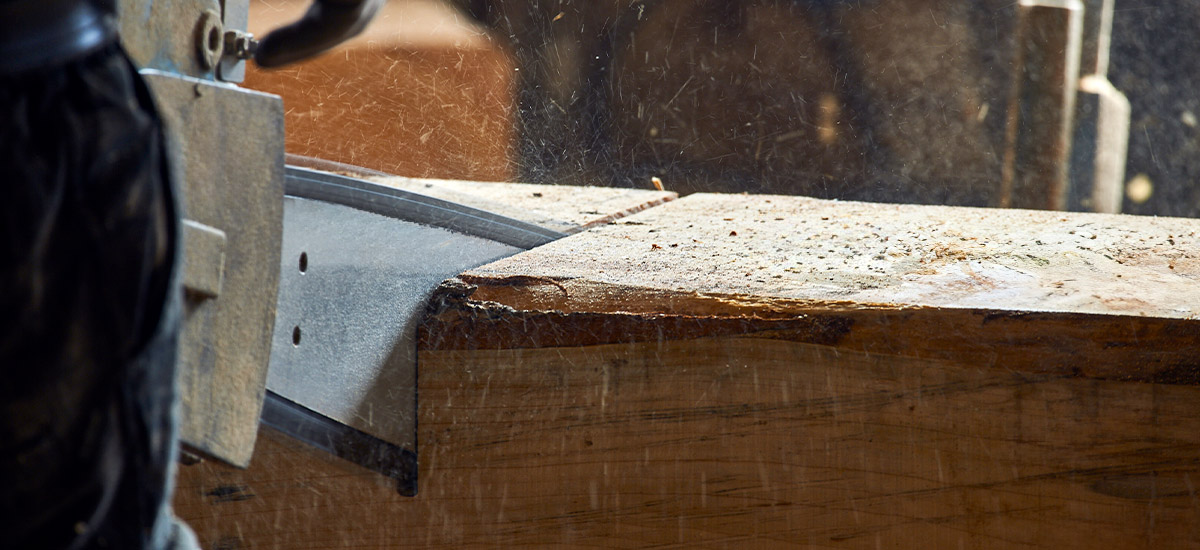Cedar wood