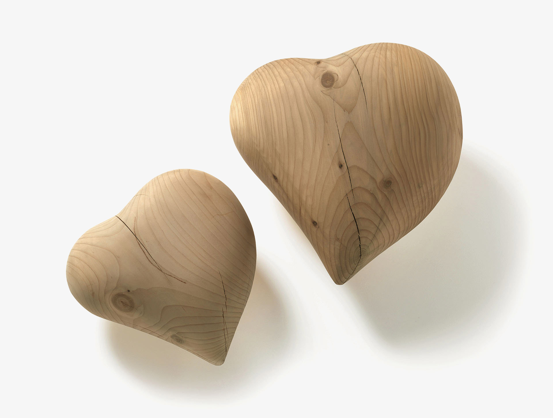 CUORE Gallery 1