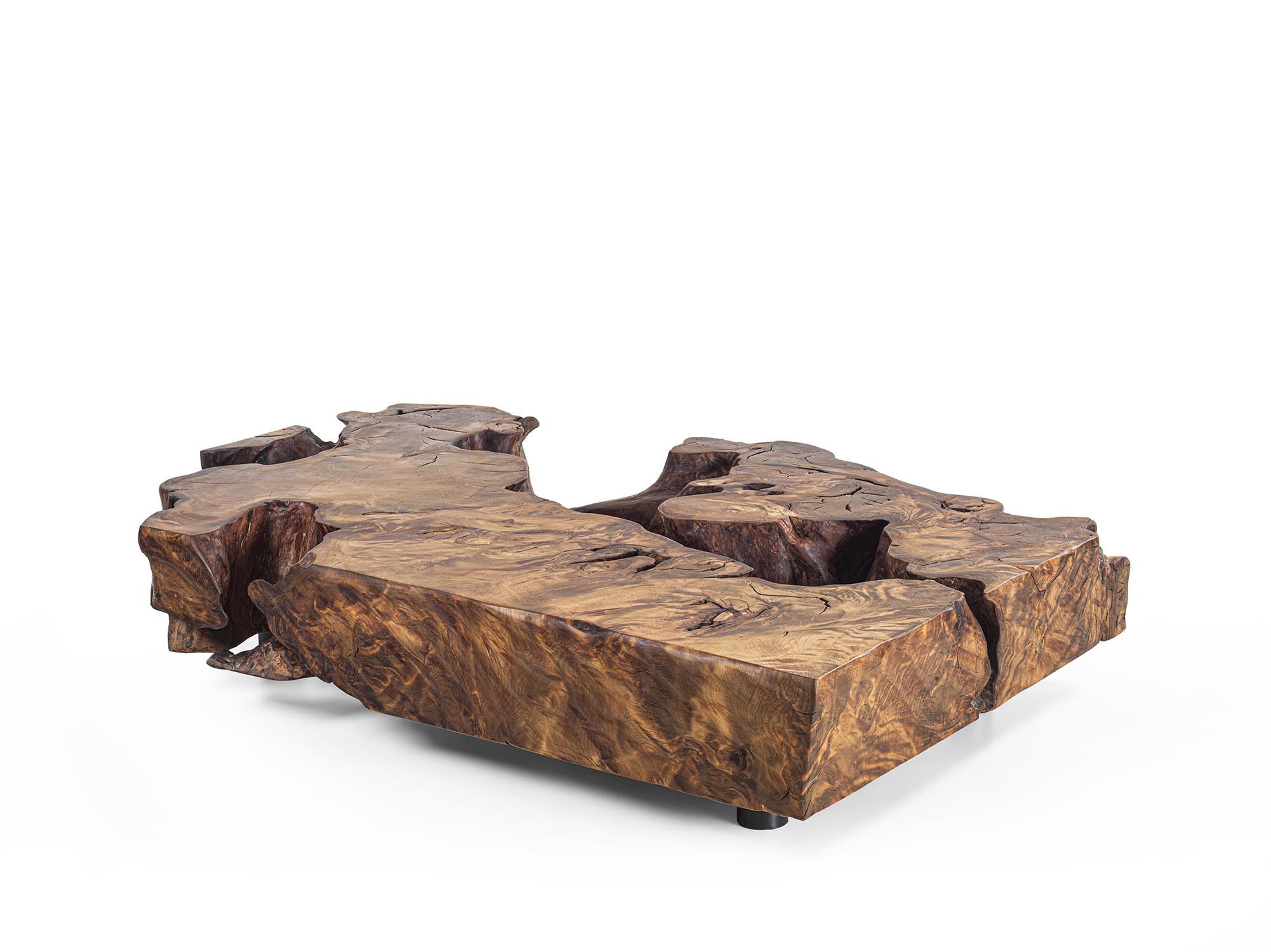 KAURI STUMP Gallery 7