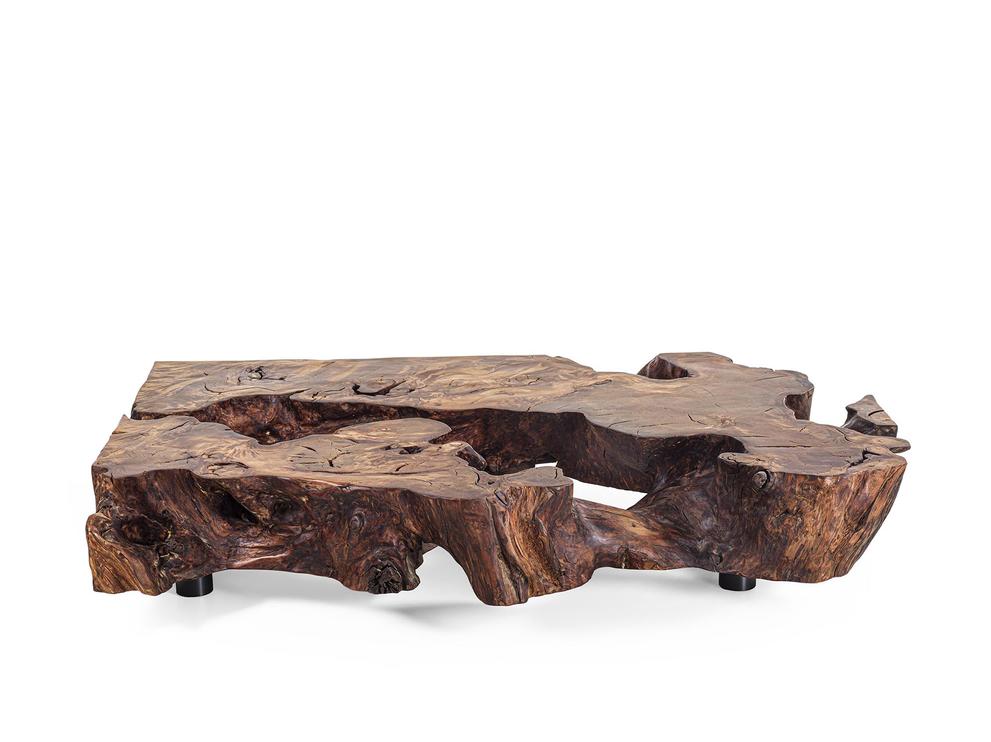 KAURI STUMP Gallery 8