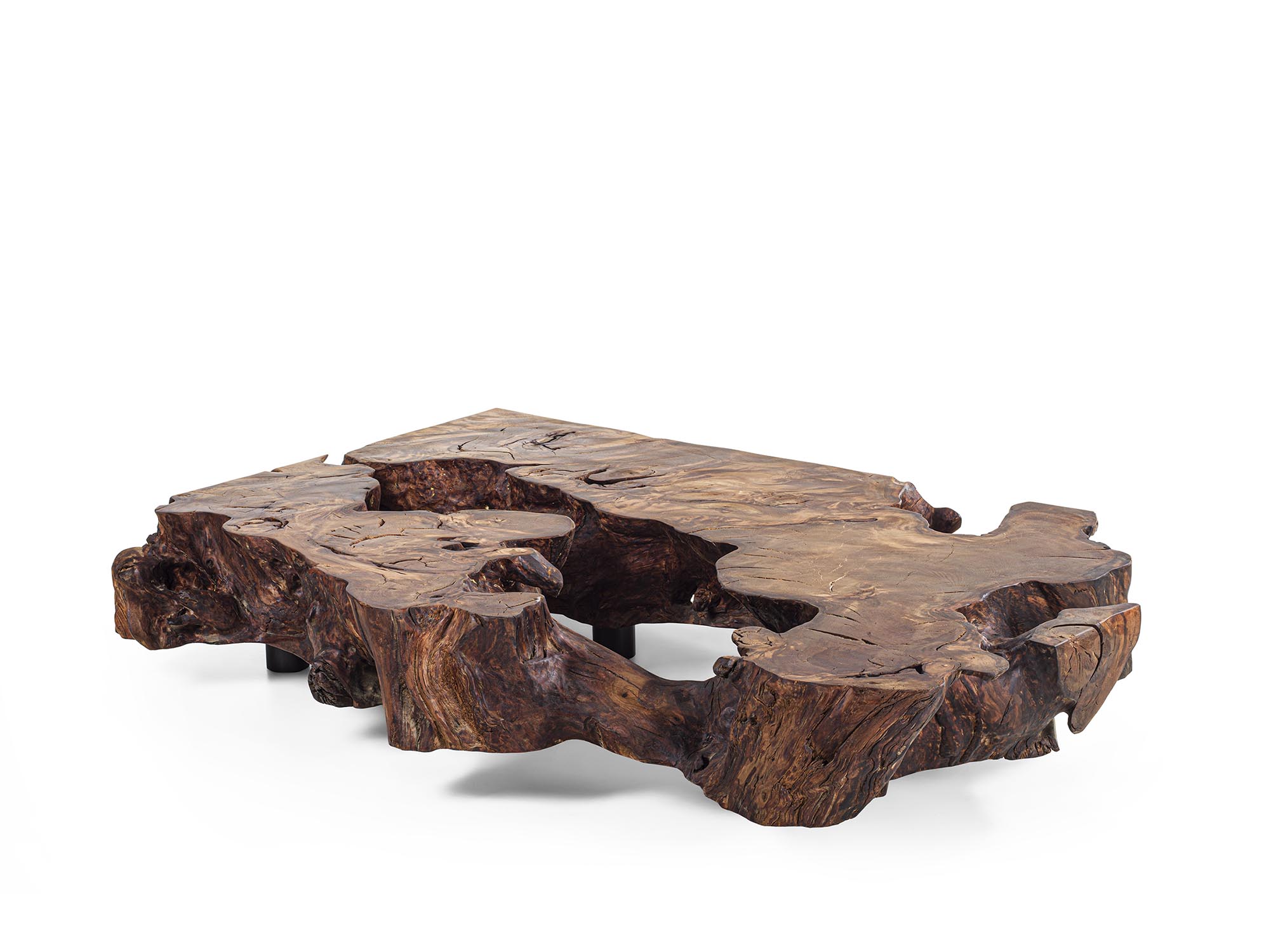 KAURI STUMP Gallery 9