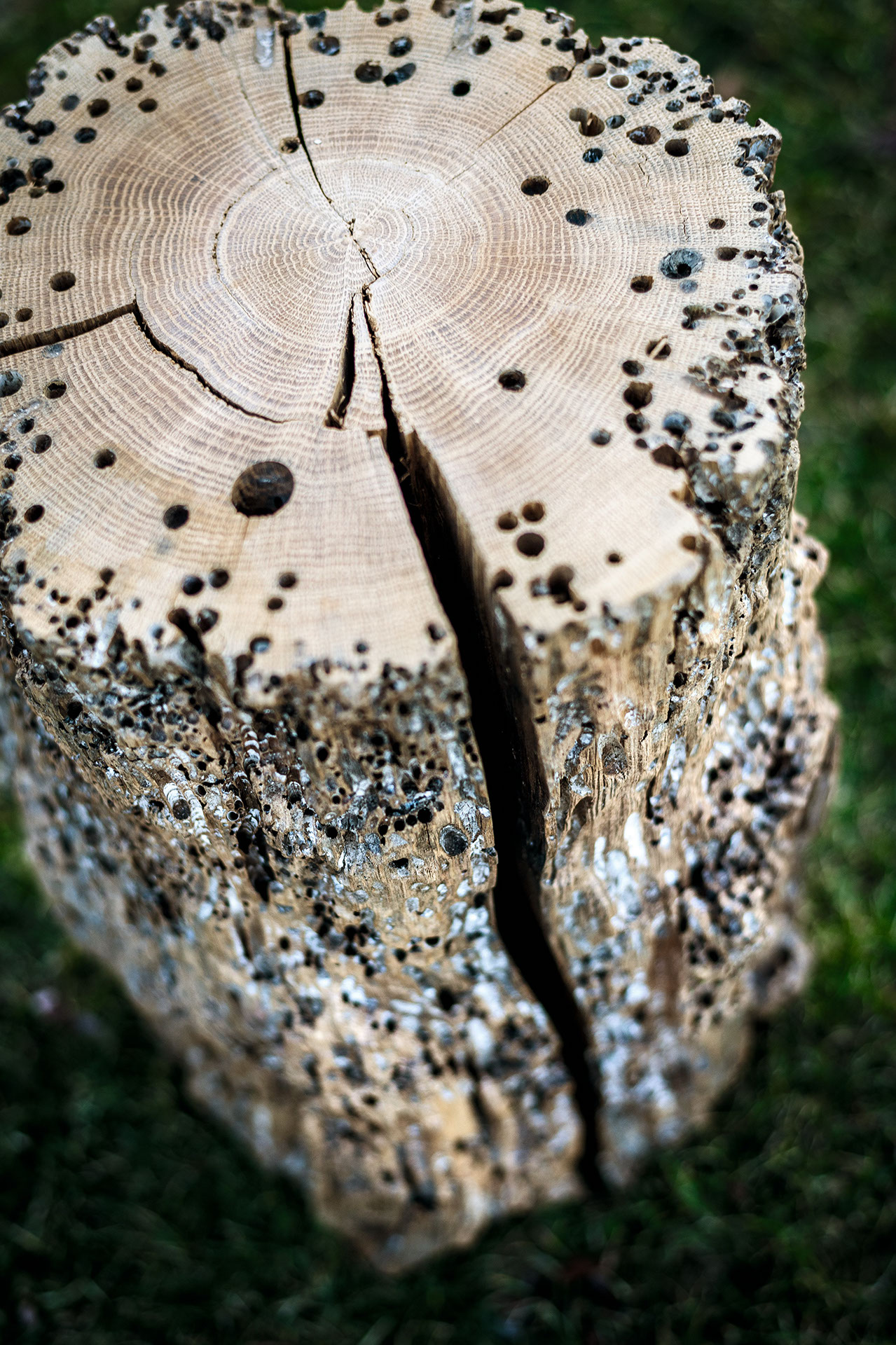 BRICOLA VENEZIA STOOL Gallery 4